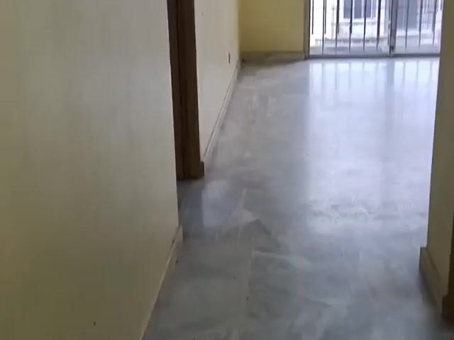 Video Image 1
