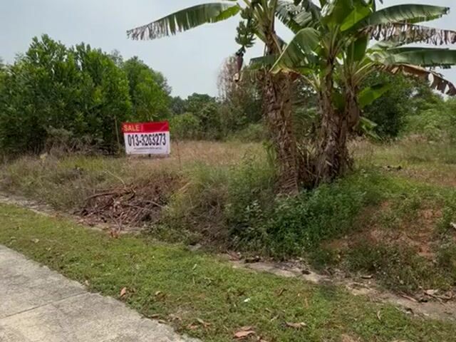 Video Image 1