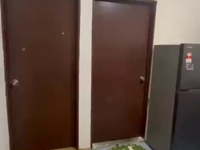 Video Image 1