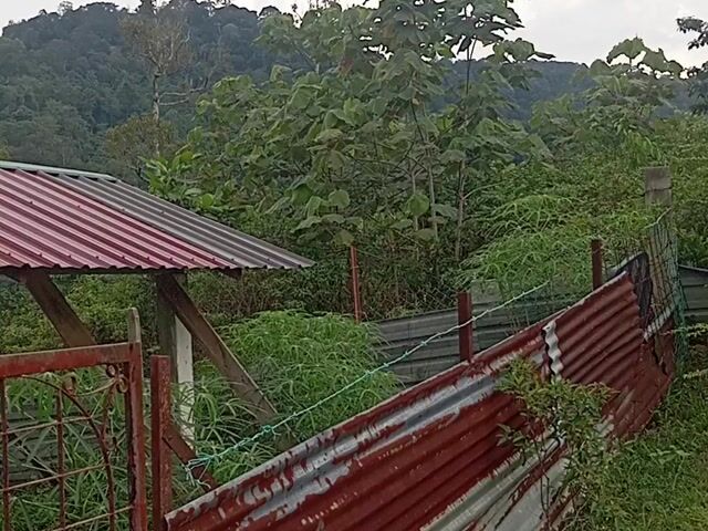 Video Image 1