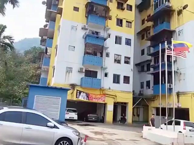 Video Image 1