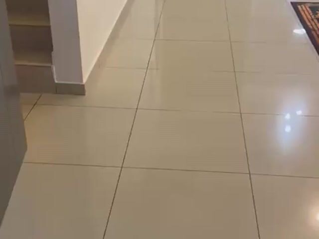 Video Image 1