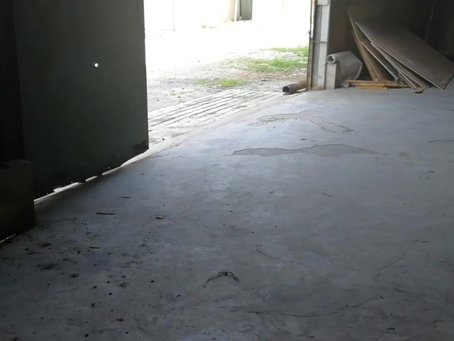 Video Image 1