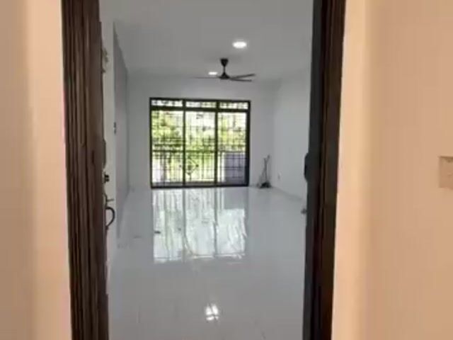Video Image 1