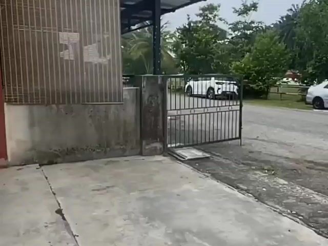 Video Image 1