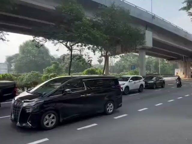 Video Image 1