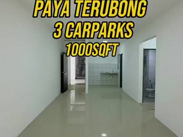 Video Image 1