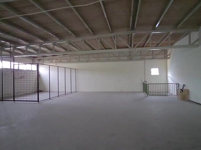 Video Image 1