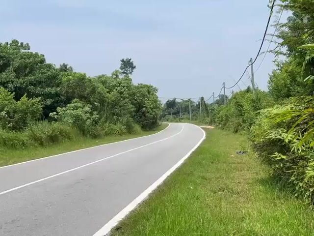 Video Image 1