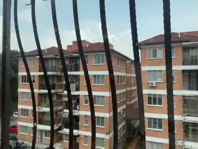 Video Image 1