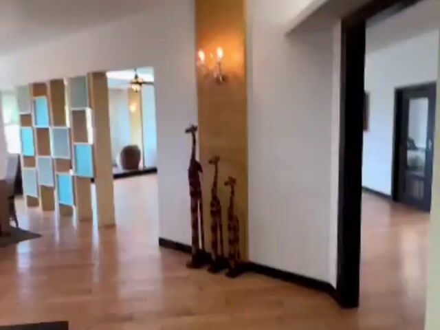 Video Image 1