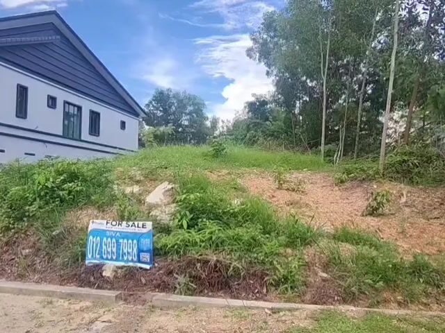 Video Image 1