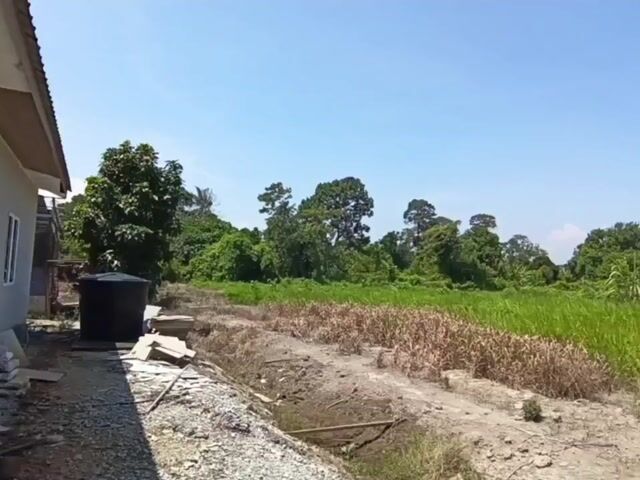 Video Image 1