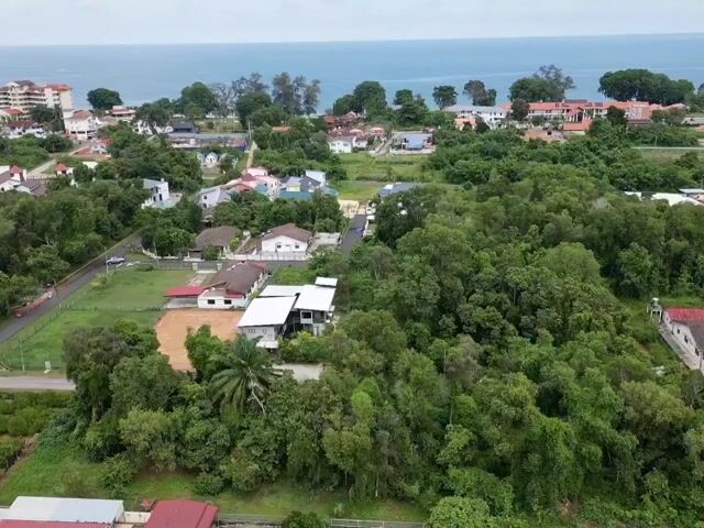 Video Image 1