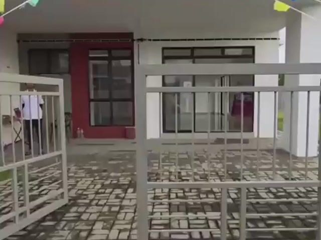 Video Image 1