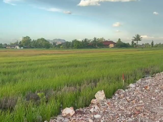 Video Image 1