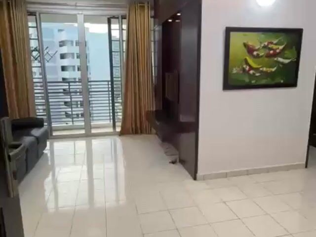 Video Image 1