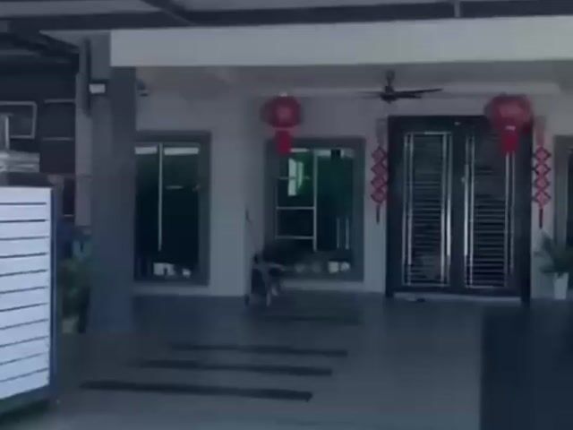 Video Image 1