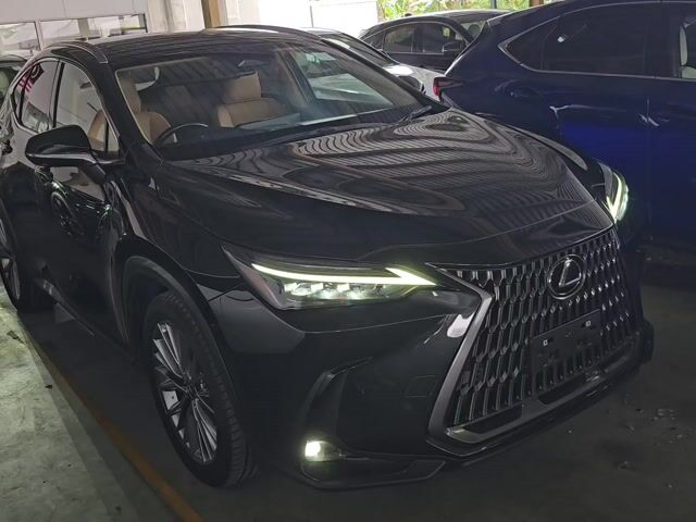 2023 Lexus NX 250 2.5 LUXURY MOONROOF DIM BSM 360 - 1