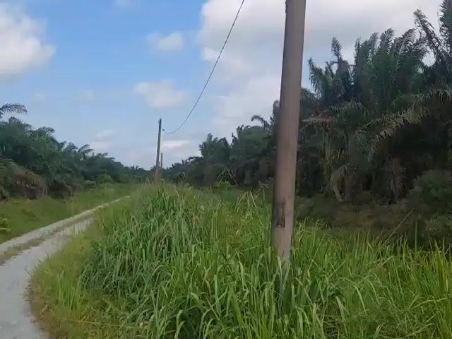 Video Image 1