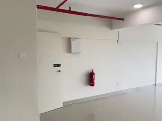 Video Image 1