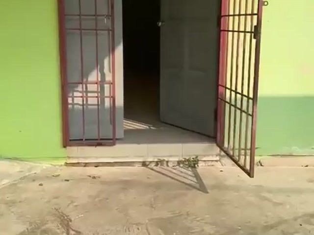 Video Image 1