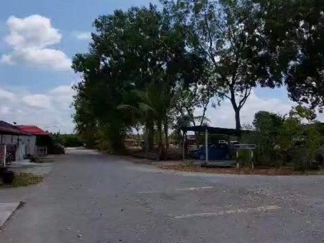 Video Image 1
