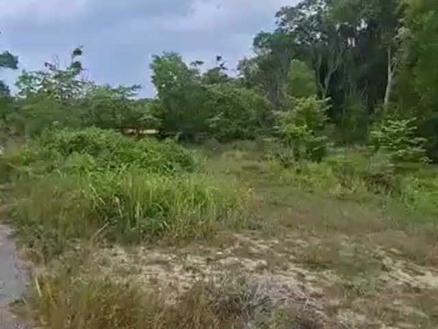 Video Image 1