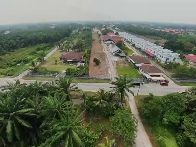 Video Image 1