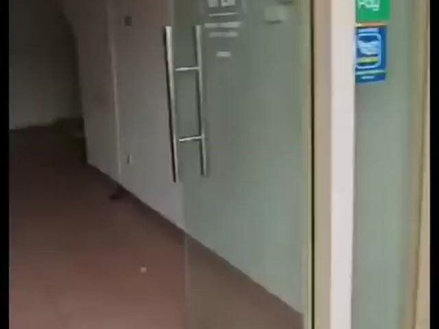 Video Image 1