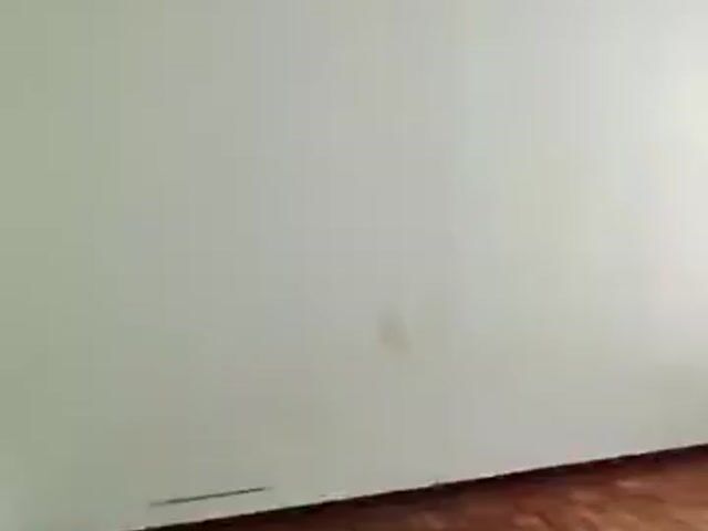 Video Image 1