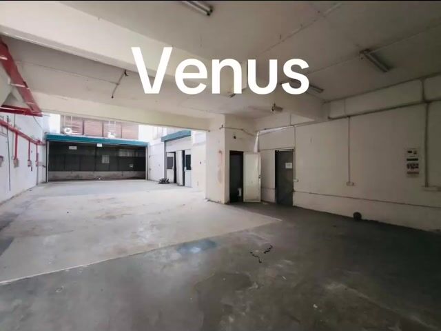 Video Image 1