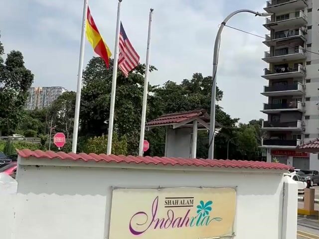 Video Image 1