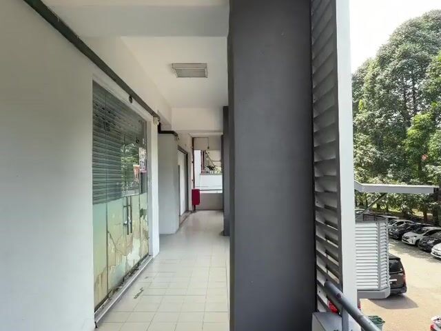 Video Image 1