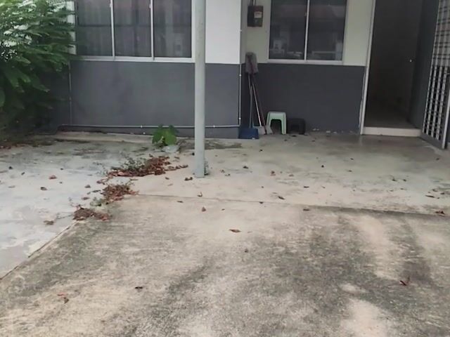 Video Image 1
