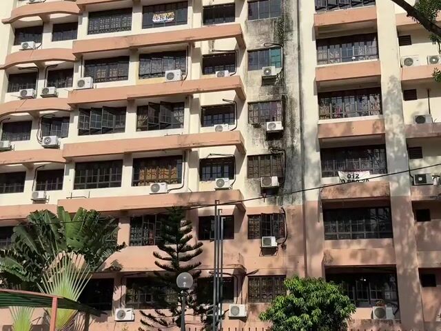 Video Image 1