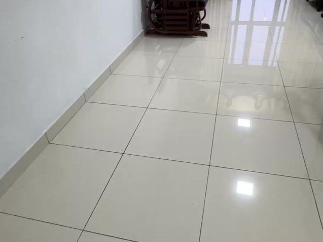 Video Image 1