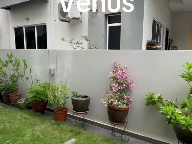 Video Image 1