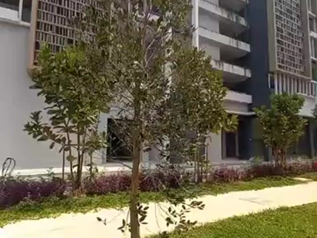 Video Image 1