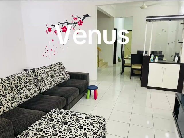 Video Image 1