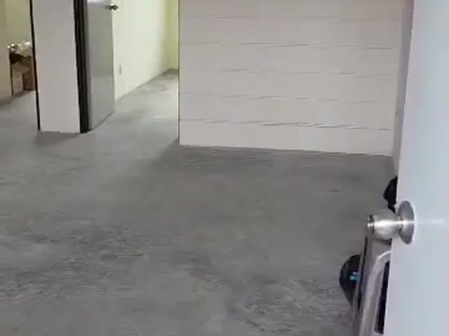 Video Image 1