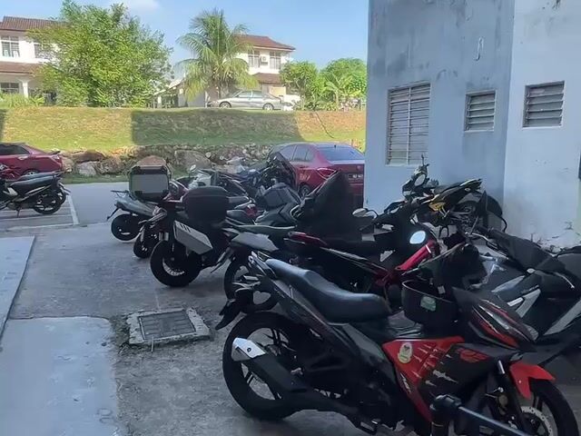Video Image 1