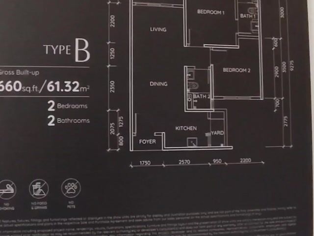 Video Image 1