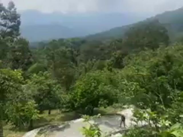 Video Image 1