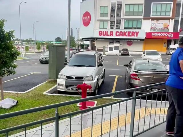 Video Image 1