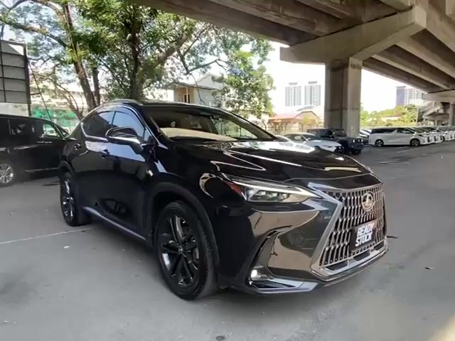 2023 Lexus NX 250 2.5 VL Panoramic Roof 360 Cam 5A - 1