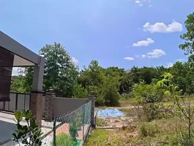 Video Image 1