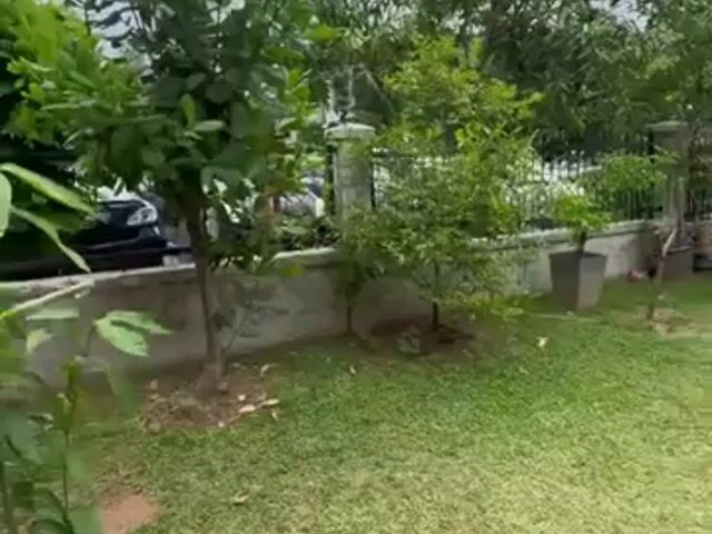 Video Image 1