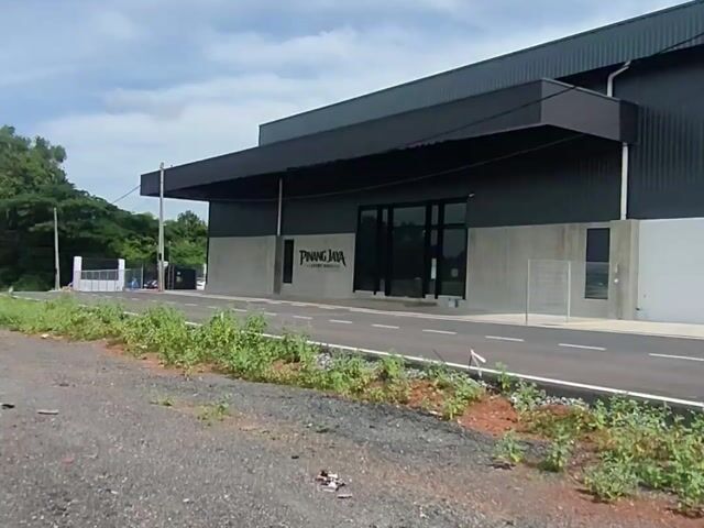 Video Image 1