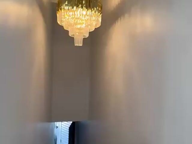 Video Image 1